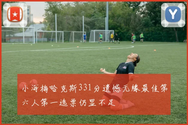 小海梅哈克斯331分遗憾无缘最佳第六人第一选票仍显不足